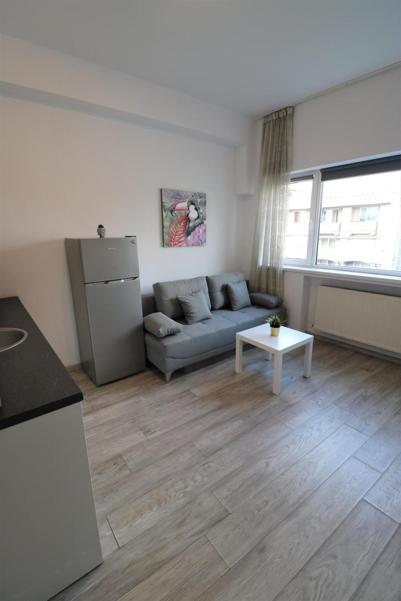 Cozy Deluxe Apartment - Old Town - Free Minibar ブカレスト エクステリア 写真